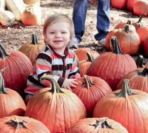 Riverview Mounds Pumpkin Patch Riverview Mounds Pumpkin Patch