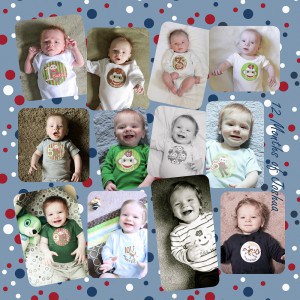 Baby Month Shirts Baby Month Shirts
