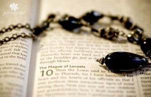 Bible verse