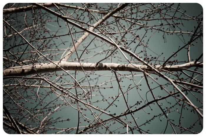 winter