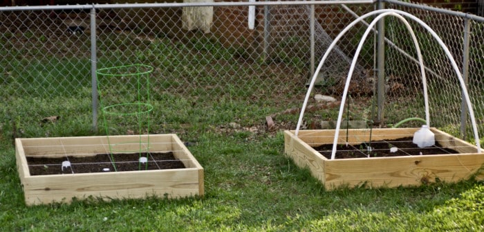 Square Foot Gardening