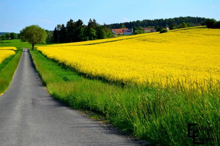 Living in Hohenfels, Germany